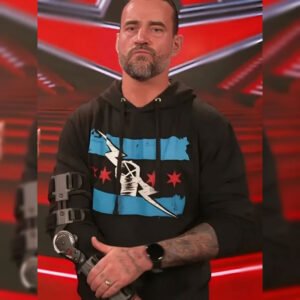 WWE Return of CM Punk Hoodie